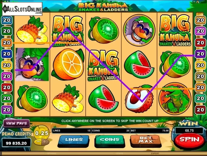 Screen9. Big Kahuna - Snakes & Ladders from Microgaming