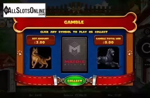 Risk game screen