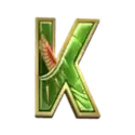 icon 10