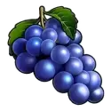 icon 7