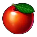 icon 1