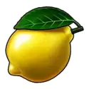 icon 5