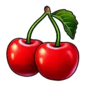 icon 4