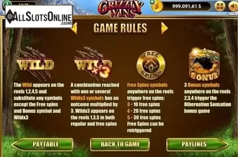 Paytable 2. Grizzly Wins from Bwin.Party