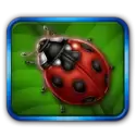 icon 3