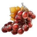 icon 4
