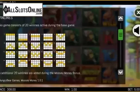Paylines screen