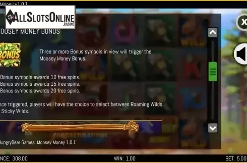 FS feature screen