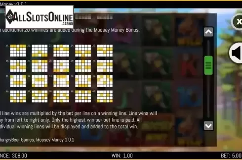 Additional Paylines screen