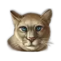 icon 6
