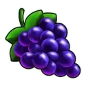 icon 4