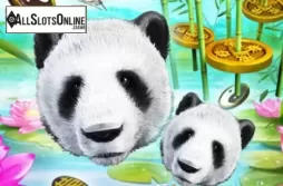 Wild Giant Panda