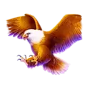 icon 5