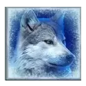 icon 4