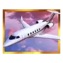 icon 1