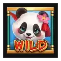 icon 9