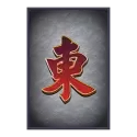icon 5
