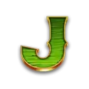 icon 10