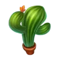icon 6