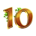 icon 9