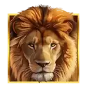 icon 3
