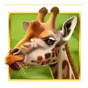 icon 4