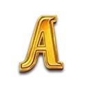 icon 5