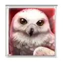 icon 1