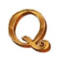 icon 9