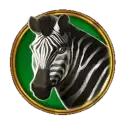 icon 4