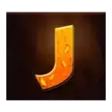 icon 13