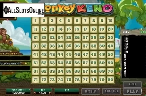 Game Screen. Monkey Keno from Microgaming