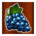 icon 4