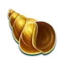 icon 5
