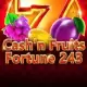 Cash'n Fruits Fortune 243