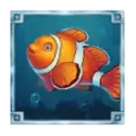 icon 5