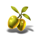 icon 5