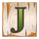 icon 9