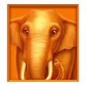 icon 2