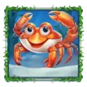 icon 4
