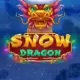 Snow Dragon
