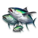 icon 5