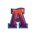 icon 6