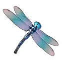 icon 3