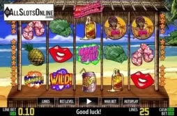Game reels. Bikini Beach HD from World Match