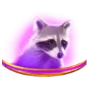 icon 5