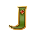 icon 9
