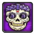 icon 1