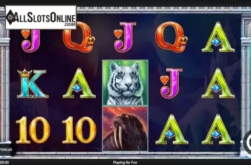 Reel Screen. Ice Queens from 1X2gaming