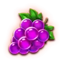 icon 4
